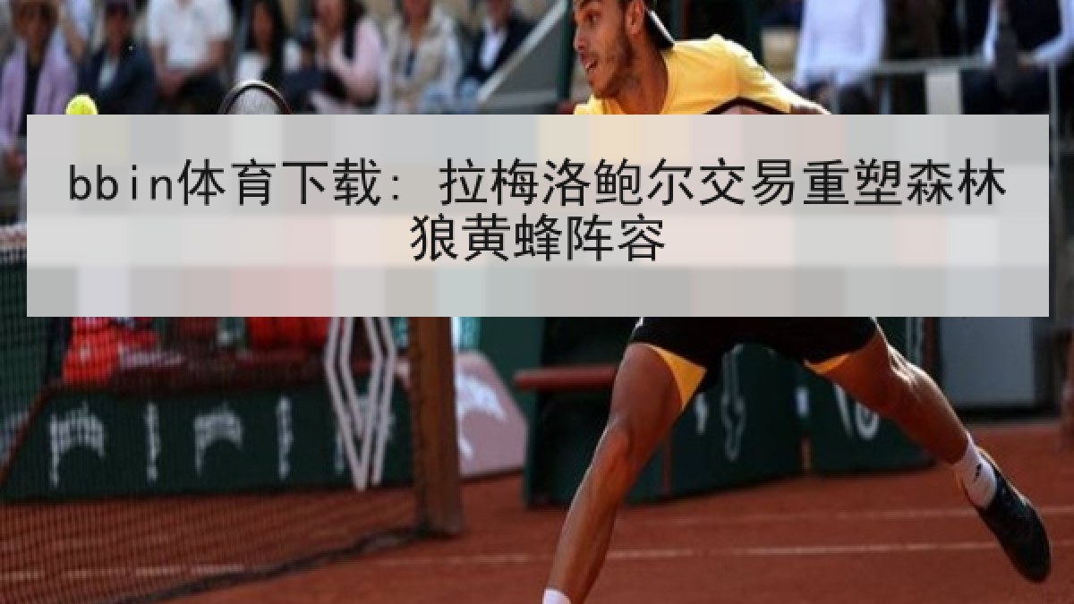bbin体育下载: 拉梅洛鲍尔交易重塑森林狼黄蜂阵容