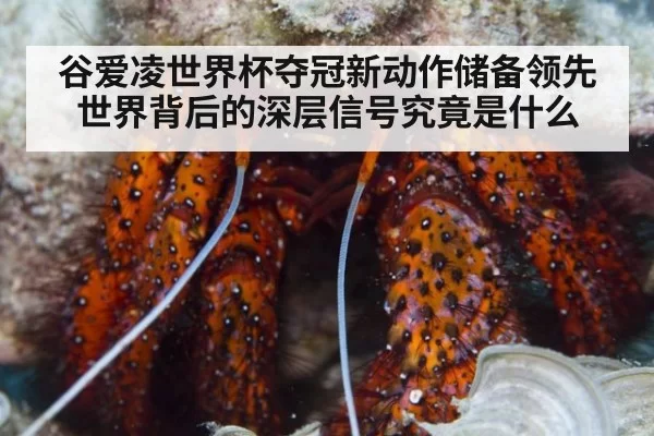 谷爱凌世界杯夺冠新动作储备领先世界背后的深层信号究竟是什么
