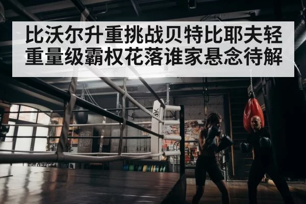 boxer training